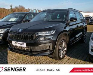 Skoda Kodiaq Gebrauchtwagen