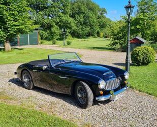 Austin Healey Andere Gebrauchtwagen