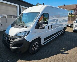 Fiat Ducato Gebrauchtwagen