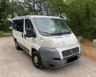 Fiat Ducato Gebrauchtwagen