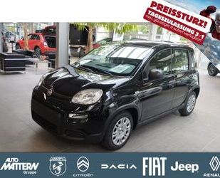Fiat Panda Gebrauchtwagen