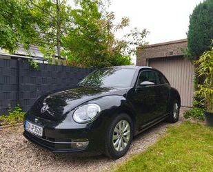 VW Beetle Gebrauchtwagen