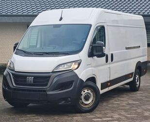 Fiat Ducato Gebrauchtwagen