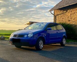 VW Polo Gebrauchtwagen
