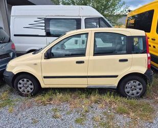 Fiat Panda Gebrauchtwagen