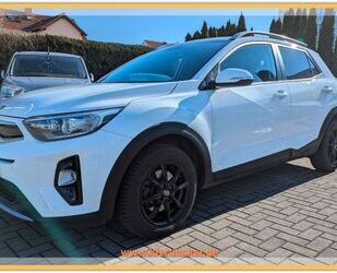 Kia Stonic Gebrauchtwagen