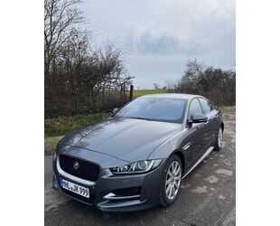 Jaguar XE Gebrauchtwagen
