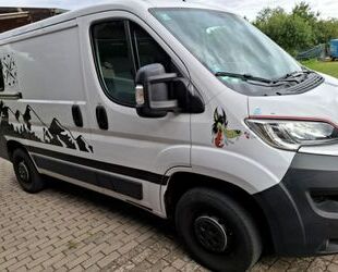 Fiat Ducato Gebrauchtwagen
