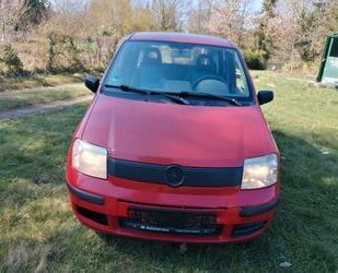 Fiat Panda Gebrauchtwagen