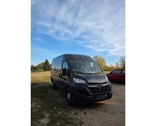 Opel Movano Gebrauchtwagen