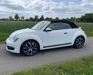 VW Beetle Gebrauchtwagen