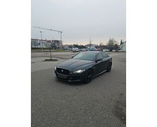 Jaguar XE Gebrauchtwagen