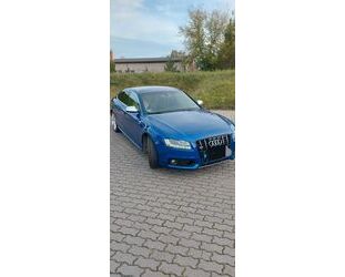 Audi S5 Gebrauchtwagen
