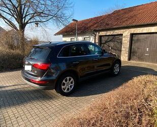 Audi Q5 Gebrauchtwagen