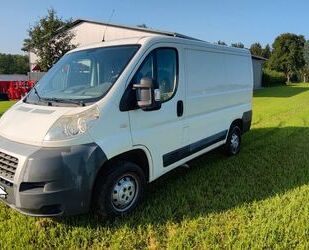 Fiat Ducato Gebrauchtwagen