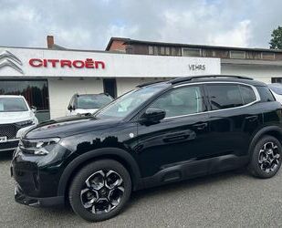 Citroen C5 Aircross Gebrauchtwagen