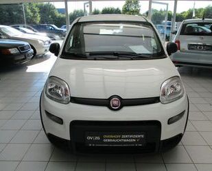 Fiat Panda Gebrauchtwagen