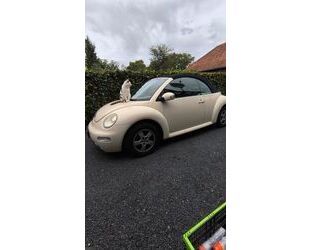 VW Beetle Gebrauchtwagen