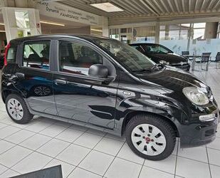 Fiat Panda Gebrauchtwagen