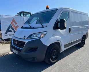 Fiat Ducato Gebrauchtwagen