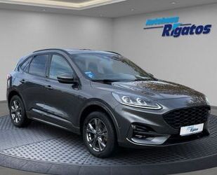 Ford Kuga Gebrauchtwagen