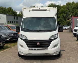 Fiat Ducato Gebrauchtwagen