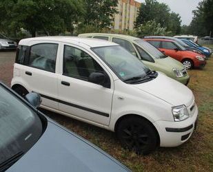 Fiat Panda Gebrauchtwagen