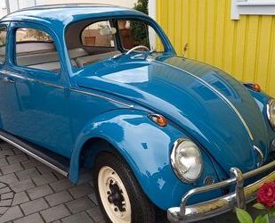 VW Käfer Gebrauchtwagen