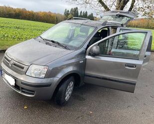 Fiat Panda Gebrauchtwagen