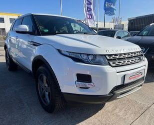 Land Rover Range Rover Evoque Gebrauchtwagen