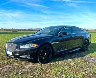 Jaguar XJ Gebrauchtwagen