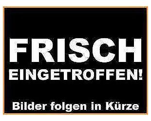 SsangYong REXTON Gebrauchtwagen