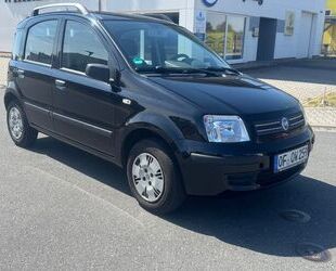 Fiat Panda Gebrauchtwagen