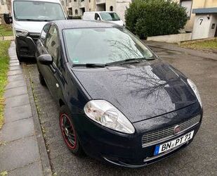 Fiat Punto Gebrauchtwagen