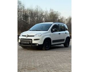 Fiat Panda Gebrauchtwagen