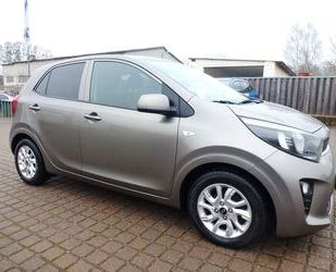 Kia Picanto Gebrauchtwagen