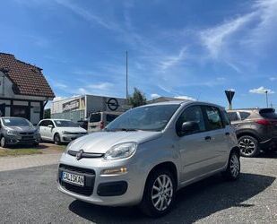 Fiat Panda Gebrauchtwagen