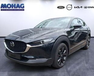 Mazda CX-30 Gebrauchtwagen