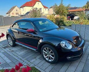 VW Beetle Gebrauchtwagen