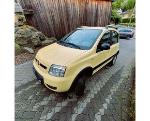 Fiat Panda Gebrauchtwagen