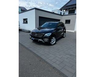 Mercedes-Benz ML 350 Gebrauchtwagen