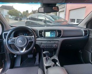 Kia Sportage Gebrauchtwagen
