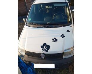 Fiat Panda Gebrauchtwagen