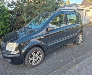 Fiat Panda Gebrauchtwagen