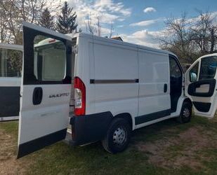 Fiat Ducato Gebrauchtwagen