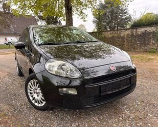Fiat Punto Gebrauchtwagen