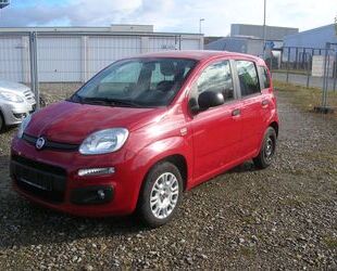 Fiat Panda Gebrauchtwagen