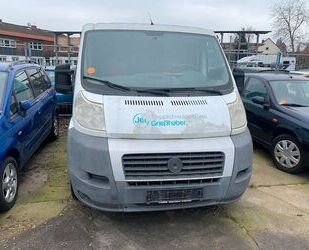 Fiat Ducato Gebrauchtwagen
