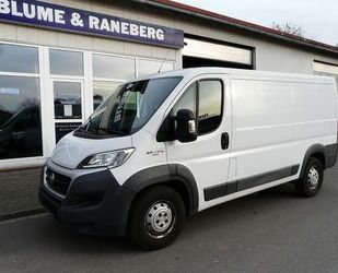 Fiat Ducato Gebrauchtwagen