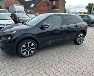 Citroen C4 Cactus Gebrauchtwagen